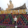Dung Thu